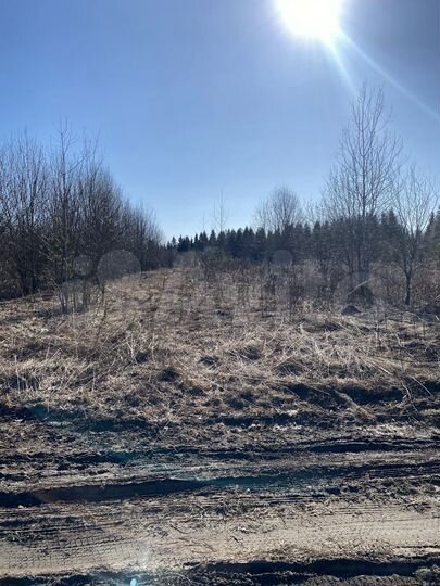 Участок 5 сот. (СНТ, ДНП)