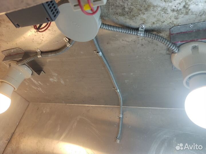 Брудер для цыплят