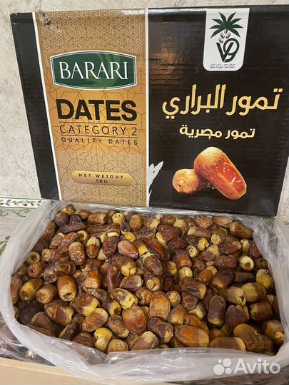 Финики суккар