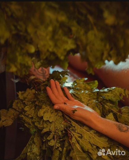 Баня,пармастер