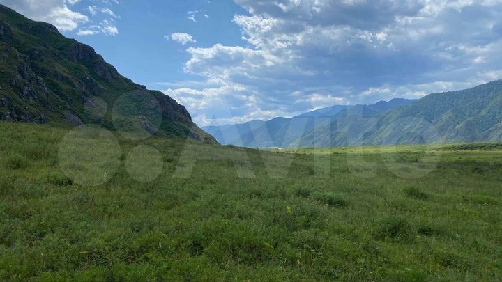 Участок 4 га (СНТ, ДНП)