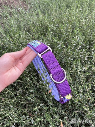 Ошейники Поводки Шлейки Амуниция для собак