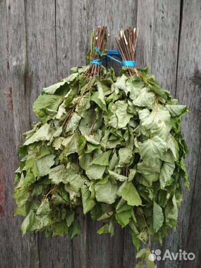 Веники для бани