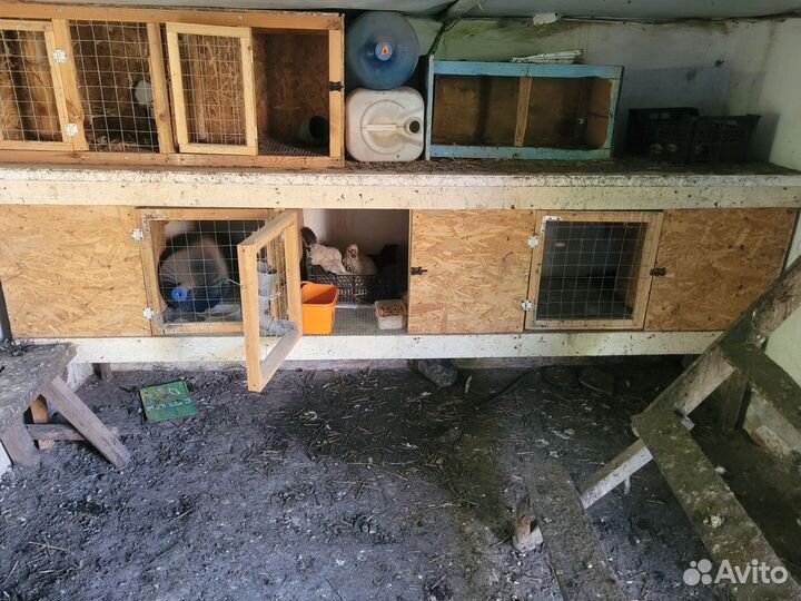 Клетка для кроликов с маточником