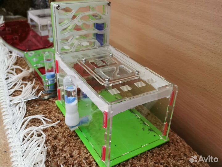 Муравьиная ферма