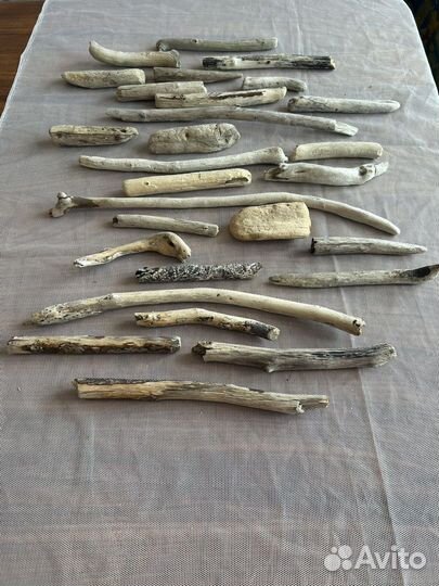 Дрифтвуд, палки, коряги