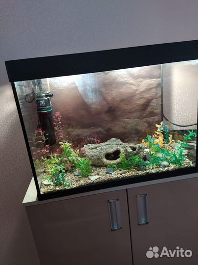 Аквариум