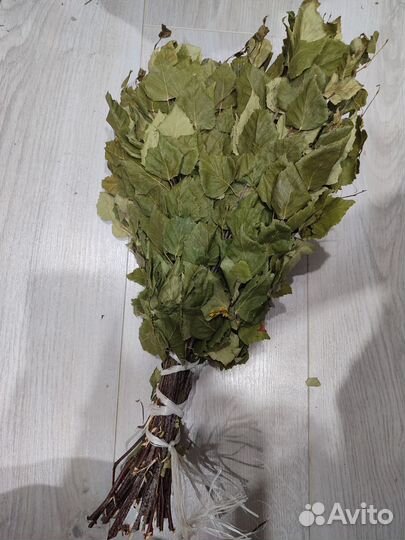 Веники для бани береза