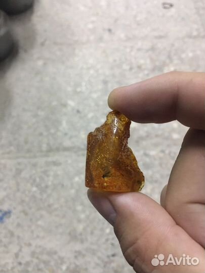 Янтарь с инклюзом