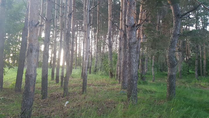 Участок 8,8 га (СНТ, ДНП)
