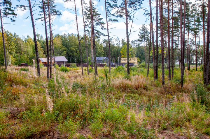 Участок 15 сот. (ИЖС)