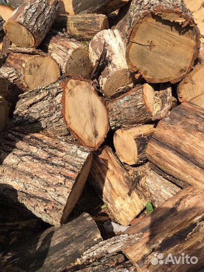 Дрова дубовые