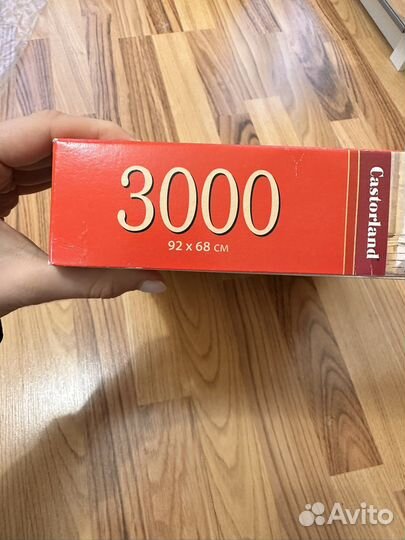 Пазл 3000 castorland