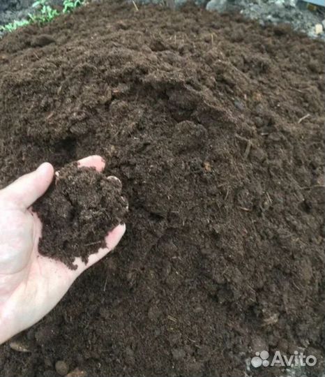 Конский навоз