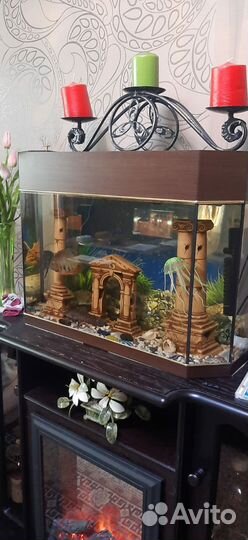 Аквариум