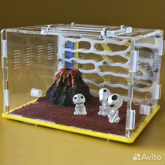 Муравьиная ферма производитель. Пермь