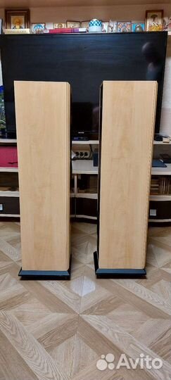 Колонки AE EVO three