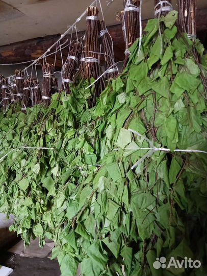 Березовые веники