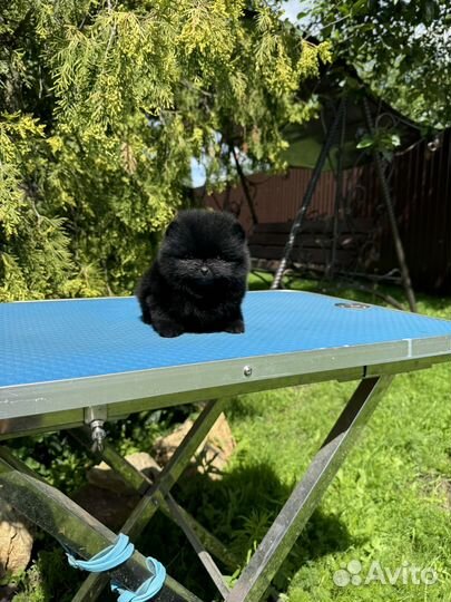 Супер мини мишка