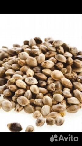 Корм для декоративных птиц,попугаев