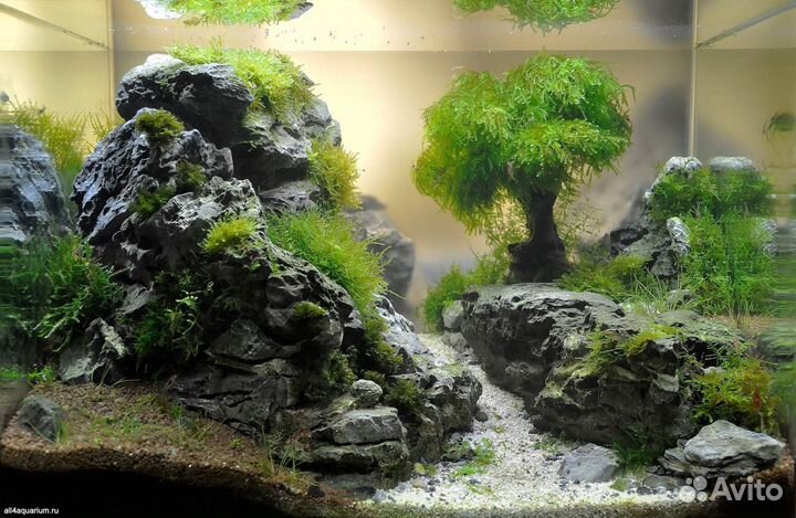 Оформление аквариумов,консультации,коряги
