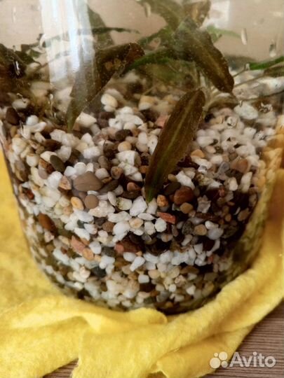 Аквариум б/у