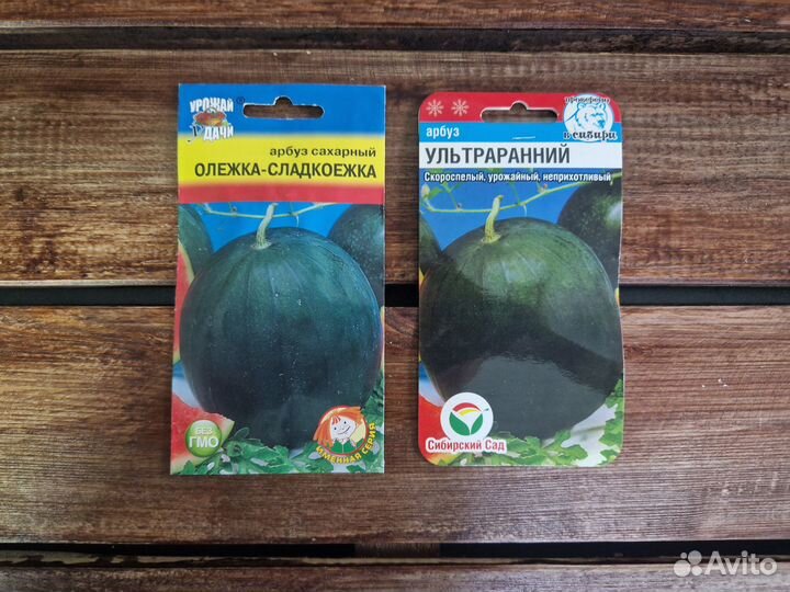 Семена Арбуза