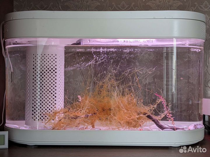 Аквариум Xiaomi Painting Geometry Amphibious Pro C