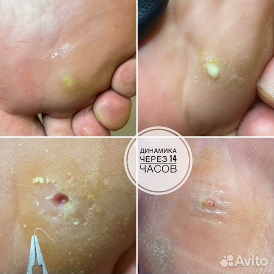 Подолог Феодосия