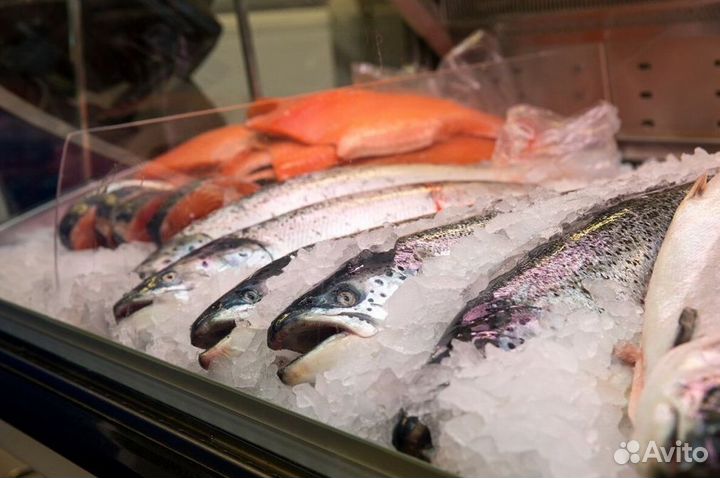 Франшиза рыбного магазина: прибыльный бизнес