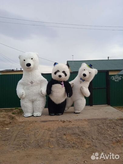 Поздравление от больших мишек