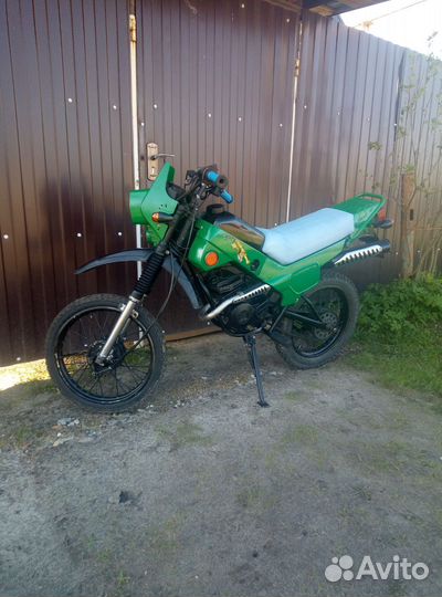 Зид пилот 50