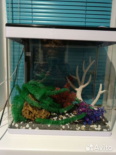 Аквариум