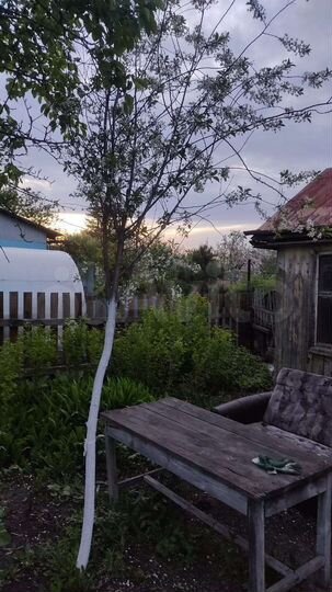 Дача 10 м² на участке 6 сот.