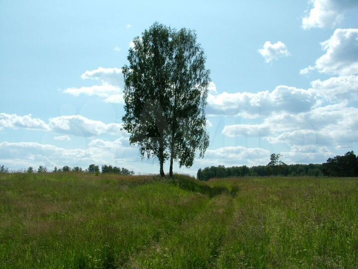 Участок 26,6 га (СНТ, ДНП)