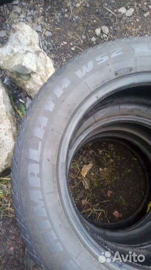 Federal Himalaya WS2 205/60 R16 96T