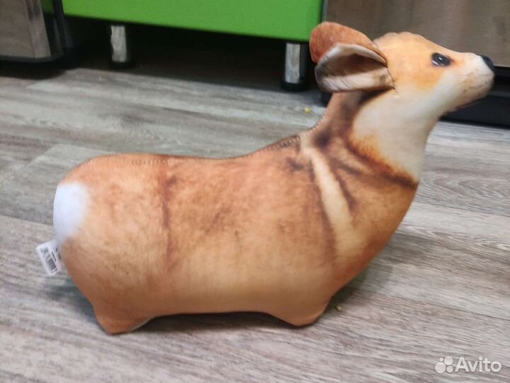 Bloptop собака корги