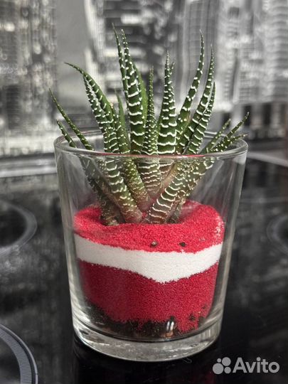 Флорариум мини