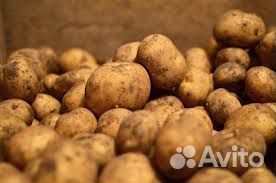 Продам картофель