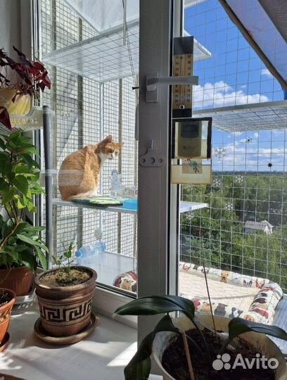 Балкончик для кошки