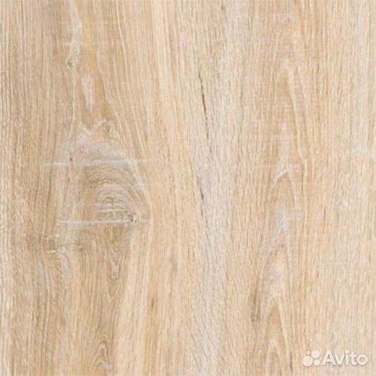 5236 Дуб Гренландский 32 класс