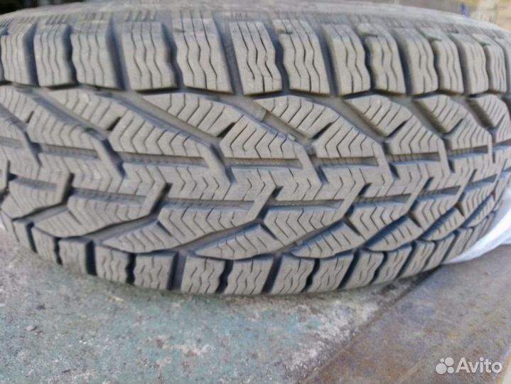 Tigar Winter 205/55 R16 94
