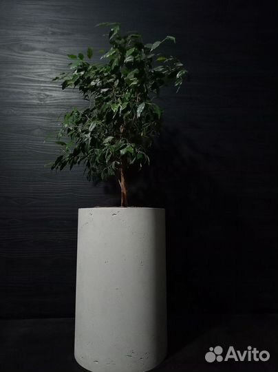 Вазоны, Горшки, Кашпо под заказ из бетона