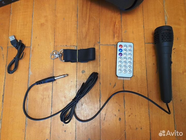 Портативная колонка с караоке