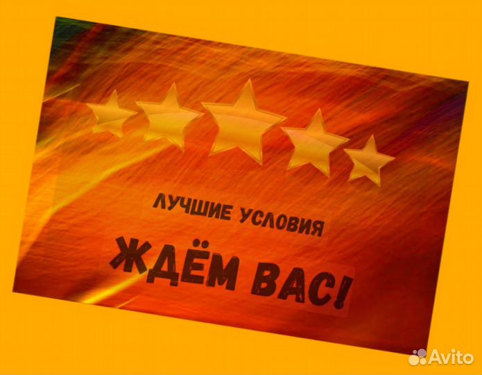 Наборщик заказов Без опыта Еженедельные выплаты