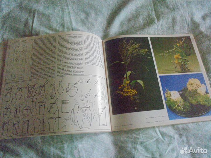 Икэбана Н.П.Николаенко Ташкент 1988 г