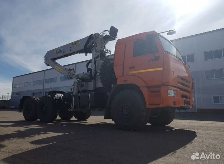 КамАЗ 43118 с КМУ, 2020