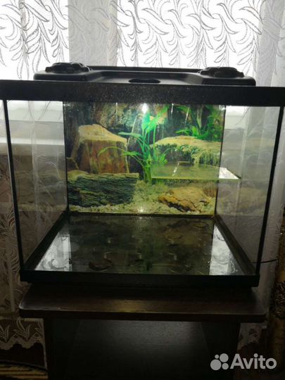 Аквариум