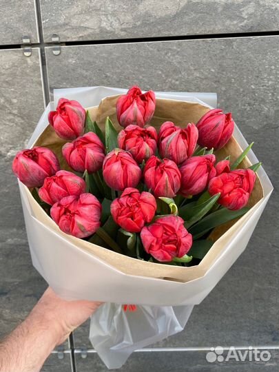 Цветы тюльпаны пионовид букет тюльпанов доставка