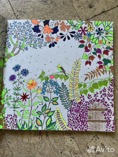 Книга раскраска Таинственный сад Джоанна Бэсфорд